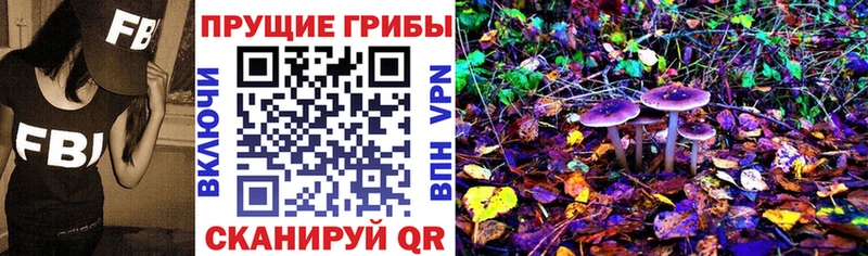 продажа наркотиков Янаул Псилоцибиновые грибы Psilocybe